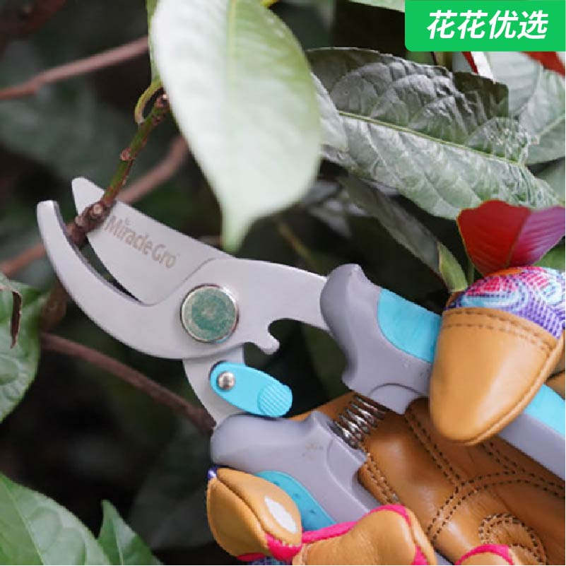 美乐棵剪枝剪家庭园艺种植剪刀工具