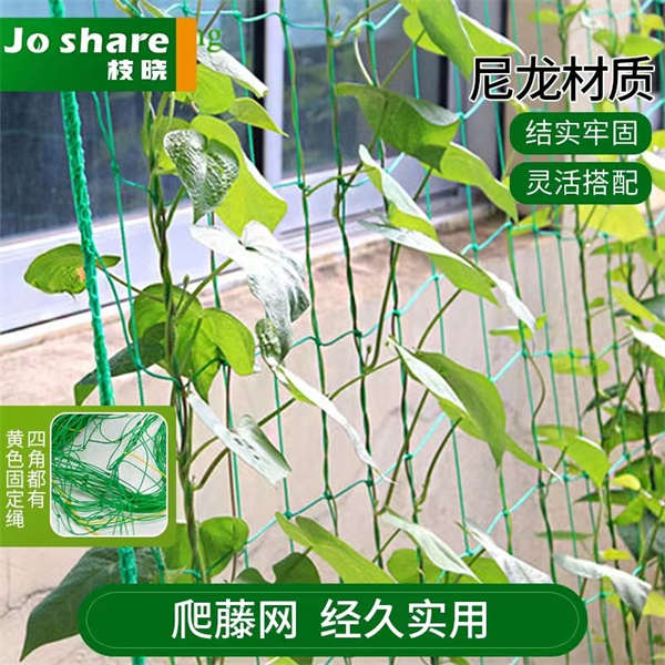 植物爬藤网 铁线莲 月季 百香果 葡萄 种植网