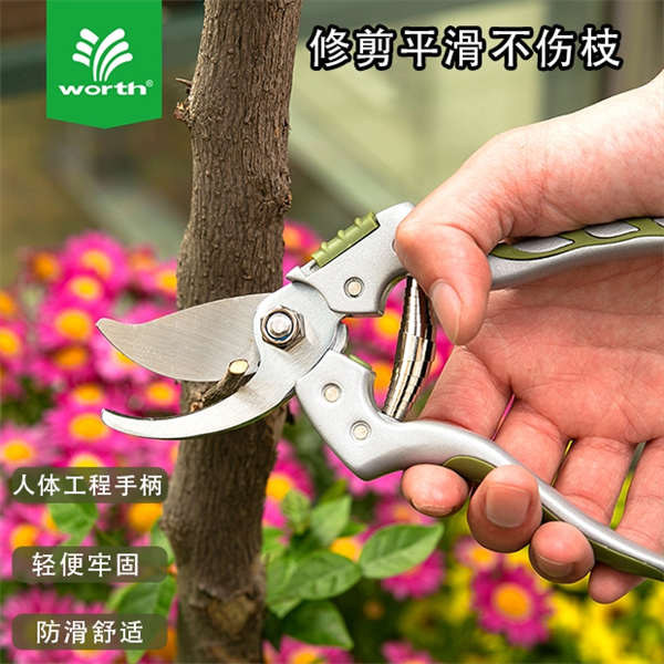 沃施worth园艺剪刀家居修枝剪果枝剪果树剪园林剪树枝修剪剪刀