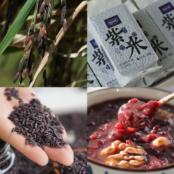 云南高山梯田紫米｜历代&ldquo;贡米&rdquo;，低GI花青素满满