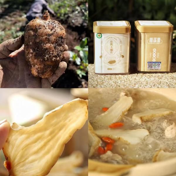 云南小草坝有机天麻片｜四季养生&ldquo;天然脑黄金&rdquo;！冬吃萝卜夏吃姜，不如来碗天麻汤