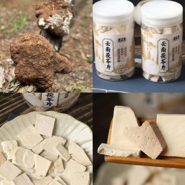 云南腾冲野生茯苓｜1800米高海拔！无污染、无公害、不熏硫！药食同源，健脾安神