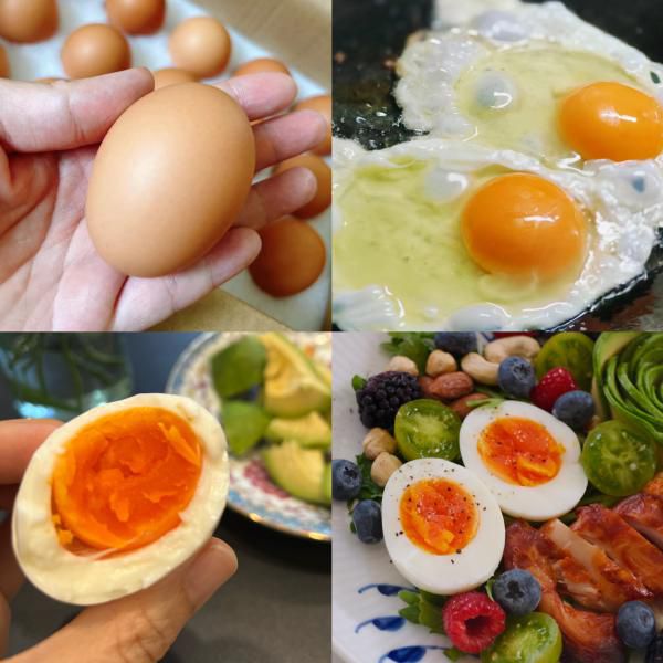 上海军安可生食鸡蛋｜绿色安全、无抗生素、无激素、无农残！蛋味充足，不带一丝腥味！营养价值秒杀普通蛋！