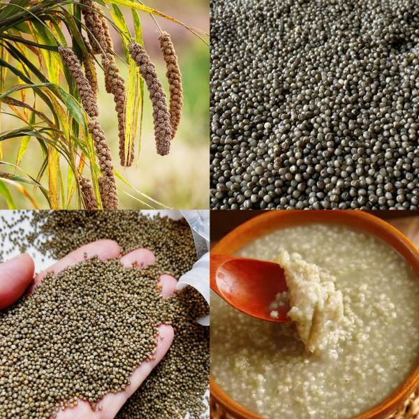 沂蒙老品种黑小米｜花青素满满，矿物质含量丰富！公认的&ldquo;补血米&rdquo;&ldquo;长寿米&rdquo;，健脾养胃米香清甜