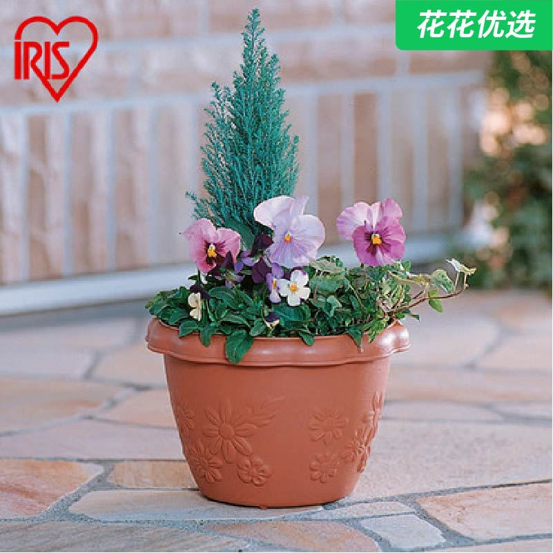 爱丽思中款家庭花卉浮雕花盆，花盆上都开满了花