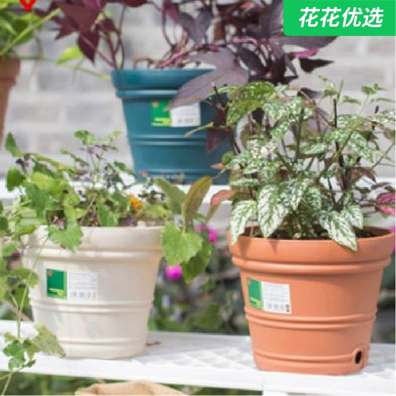 爱丽思Valencia凸纹花盆
