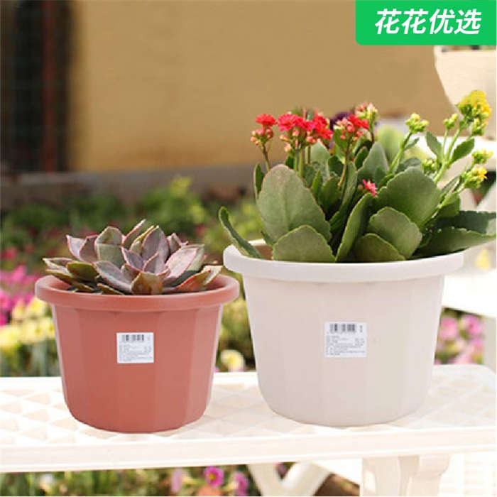 爱丽思多棱花盆&middot;中钵