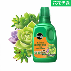 美乐棵多肉型浓缩营养液