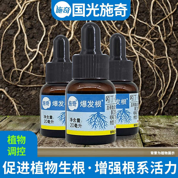 国光施奇爆发根，日常养护扦插都用得到