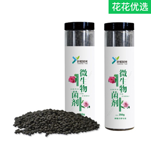 叶虹时光微生物菌剂月季型