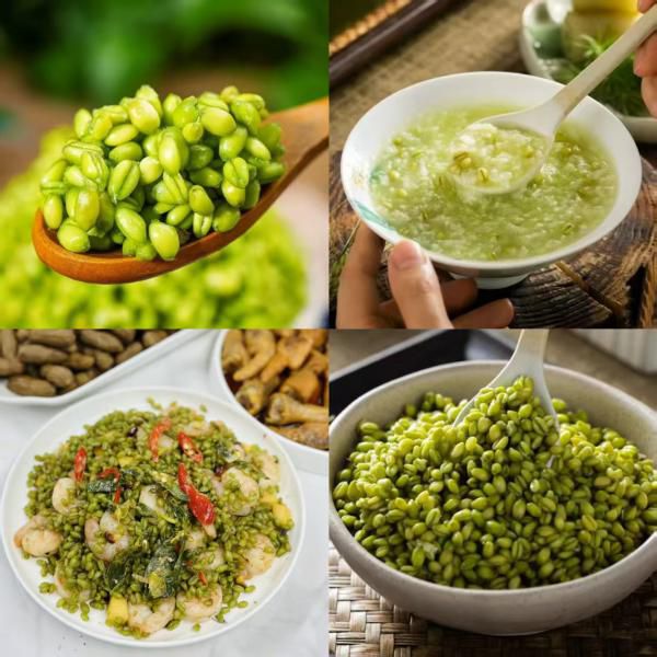 富硒全胚芽青麦仁 | 入口柔和麦甜，高纤维饱腹感强，轻食无负担！富硒营养加持，一口尝到麦田原生鲜香！