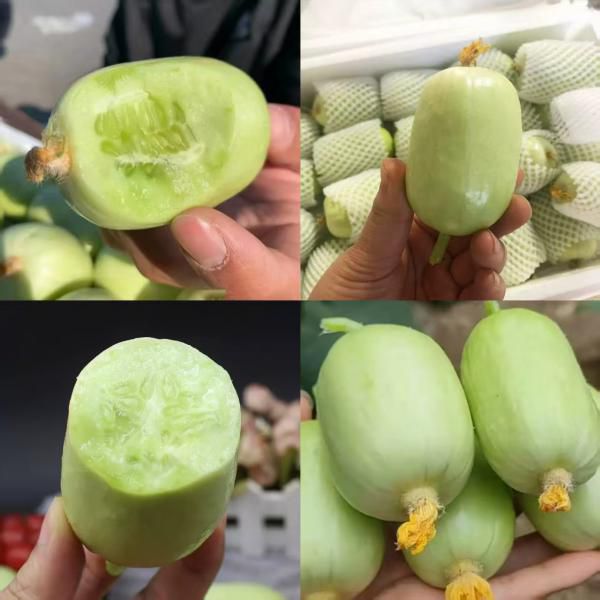 金童玉女拇指小黄瓜｜生态种植，非转基因，不催熟！​ 一咬&ldquo;咔嚓&rdquo;清脆，好像要滴出水！光滑无刺，皮薄肉脆、籽少多汁、鲜嫩清香