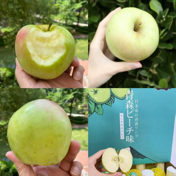 生态红颜&middot;青森苹果｜日系种源香甜四溢，脆甜多汁，纯甜无酸，带着一股兰花香！坚决不打农药，物理杀虫！
